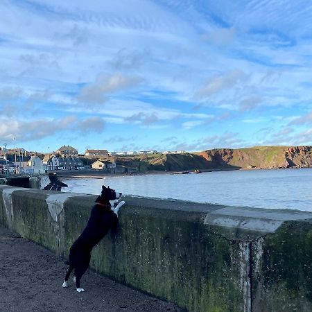 Generals Yard Villa Eyemouth Luaran gambar